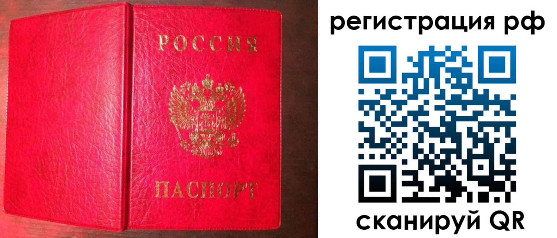 прописка в квартире в Брянске